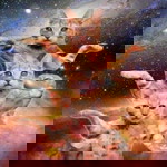 pattarapa klundee profile icon