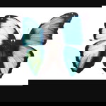 Riyanti C profile icon
