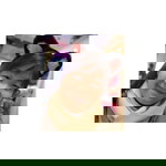 Mamypoko NuA profile icon