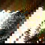 Yolanda Nova Sari profile icon