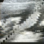 Aixee Selibaca profile icon