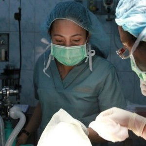 Sara Chan profile icon