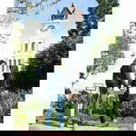 Yani Ramadani profile icon