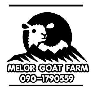 Ummi Adil profile icon