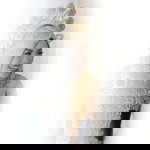 AR Ifah profile icon