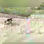 Qaminx Mintz profile icon