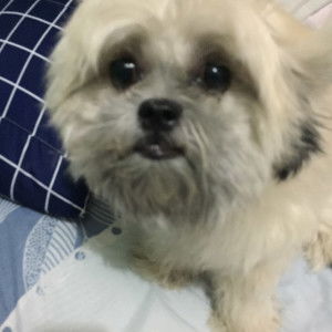 Xchntll profile icon