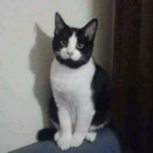 โยฮันเนส เคราเซอร์ ที่ 2 profile icon