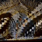 Febri Istiyanti profile icon