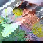 Dreem Maneerat Nukhunthod profile icon