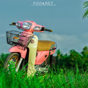 Net Supercubzing profile icon