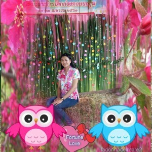 Noo Meaw profile icon