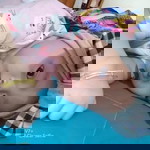 AfkElma profile icon