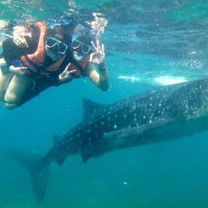 Charmane Yabut Bacani profile icon