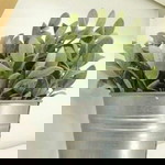 Nining Purwati profile icon