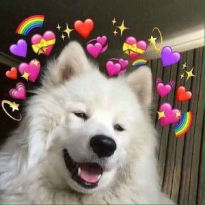 JERANANA _ profile icon