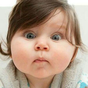 beer mailor profile icon