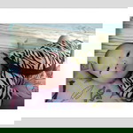 Boonyanuch Yingza Chacha profile icon