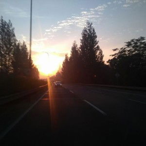 Aì Masila Masila profile icon