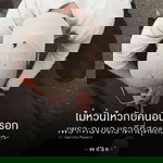 วันวาน ยังหวานอยู่ profile icon