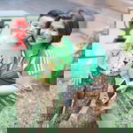 Kru Zeyah Nong Asda profile icon
