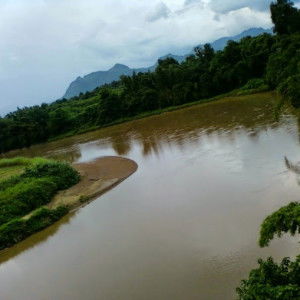 S. Thummarut profile icon