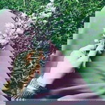 Fatimah Eva profile icon