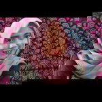 Aisyah Lidya profile icon