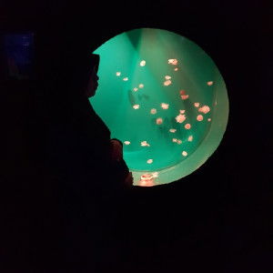 Meri fita sari profile icon