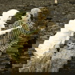 Rasmie Amhie profile icon