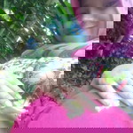 zahrotun habibah profile icon