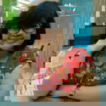 palma adhinta chatarina profile icon