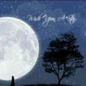 Lutfieka Setyoutami profile icon