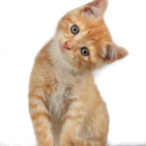 Dapit Laraisya profile icon