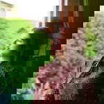 Pawinee Pamix profile icon