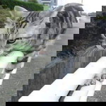 Chand Riri profile icon