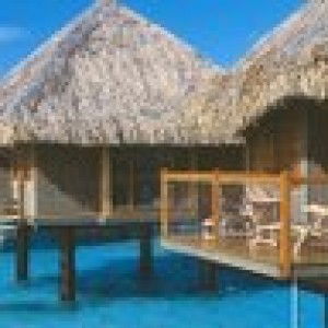 นพวรรณ ลิ้มศิริโชค profile icon