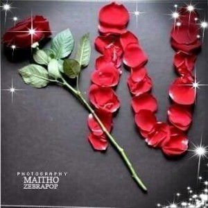 Nafilah Abbas Baradja profile icon