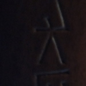 roesac abizz profile icon