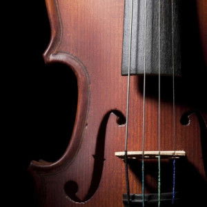 Isyumaestra_cjp 07 profile icon