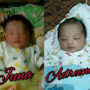 Diana Darwinia profile icon