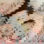 Porpaaivi Paam profile icon