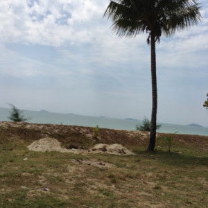 Nazihah Jaron profile icon