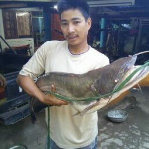 เดชณรงค์ เพชรดิน profile icon