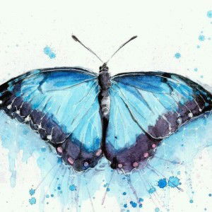 Zaza Jamal profile icon