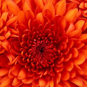 Nur_era@rocketmail Yaya profile icon