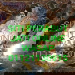 Siti Fadilah profile icon