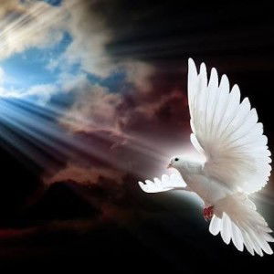 Hiyo Ri profile icon