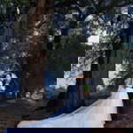 Rovi Adinanda profile icon