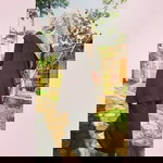 Dwii Cahya Fitriyanii profile icon